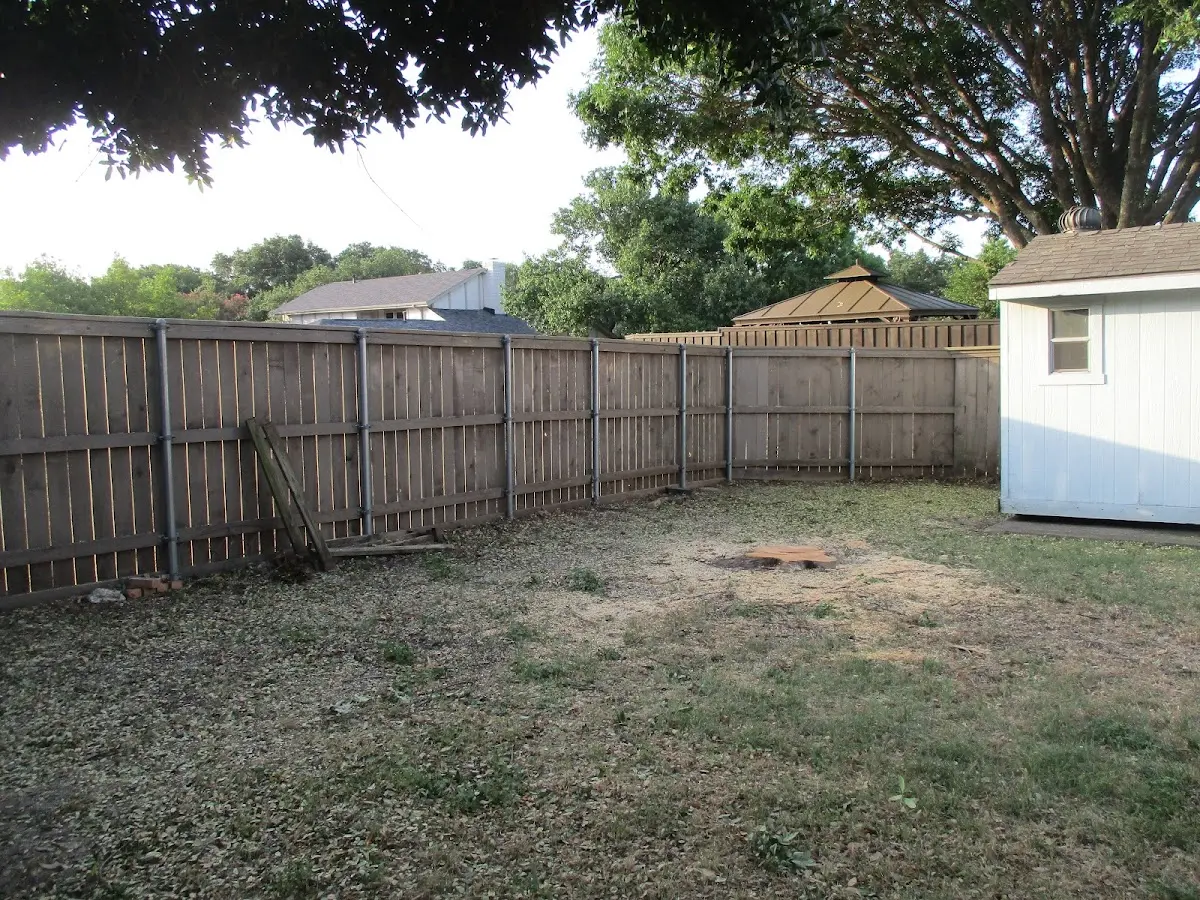 Cleared yard after professional tree removal in Acme