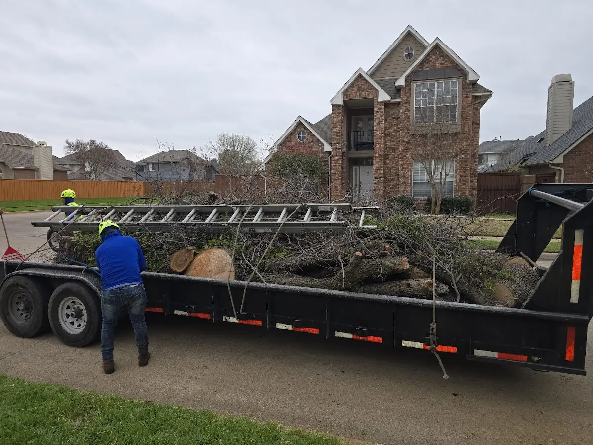 Expert Lot Clearing with proper safety equipment in Acme